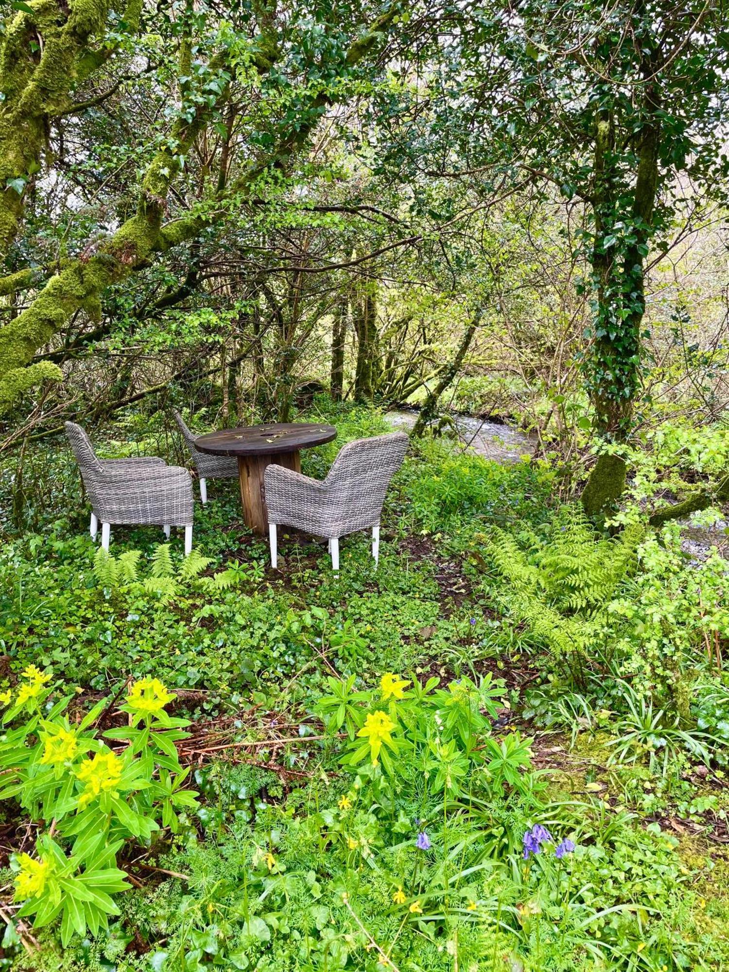 ホテル Stepping Stones Glamping Little Red バントリー エクステリア 写真